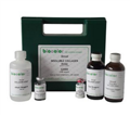不可溶性胶原检测试剂盒（Insoluble Collagen Assay）